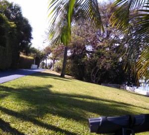 A view along the bike trail