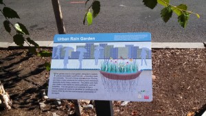 19th and L St Rain Garden Sign October 24 2015 036