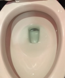 Toilet Showing Leak