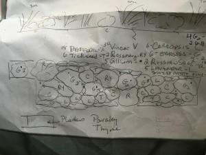 Roof Garden Planting Plan