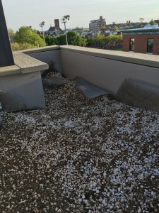 Roof Garden Start of Soil Mix Filling Early April