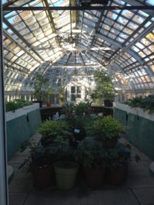 greenhouse-by-kate-1