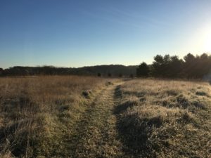frosty-field-path