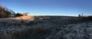 frosty-panorama-pre-cut