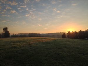 meadow-sunrise