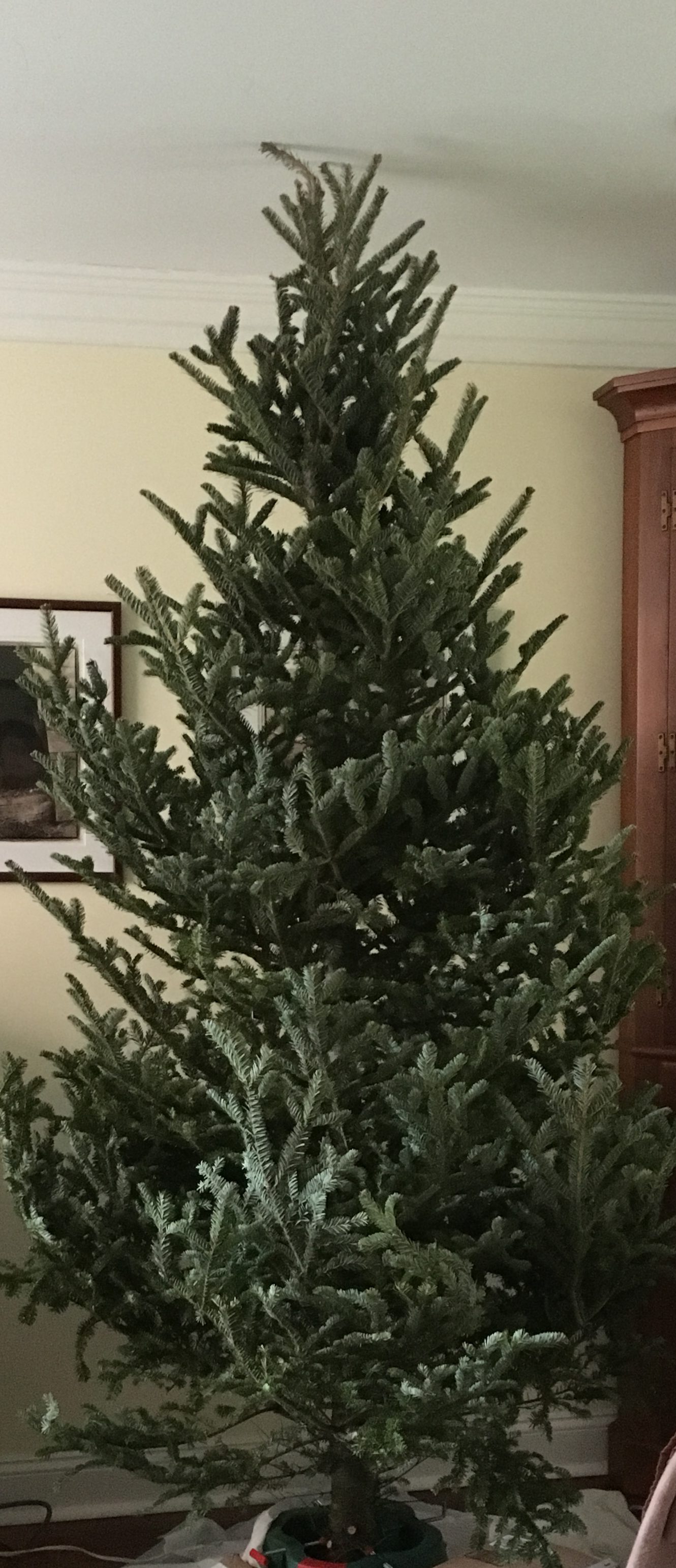 bare christmas