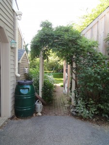 Rain Barrel