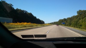 Delaware Route 1 Median