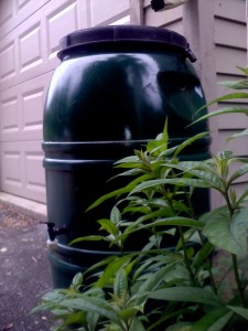 RainBarrel1