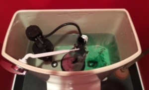 Toilet with Dye