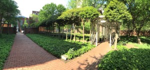 18th Century Garden