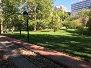 Carpenter's Hall Grounds