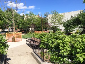 Cianfrino Park 4