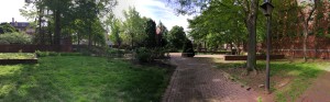 Rose Garden Panorama