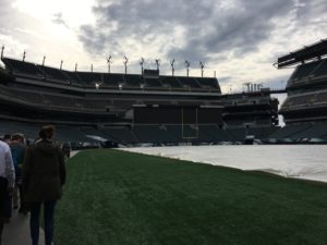eagles-over-field-to-turbines