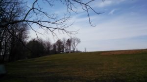 across-hill-with-trucks-cutting-back-forest