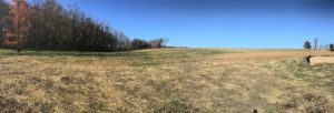 field-cut-panorama