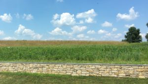 july-flowers-behind-the-wall-cropped