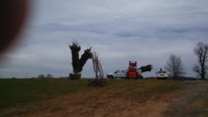 rp-with-trees-at-top-of-hill