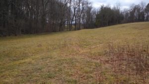 the-field-at-the-start