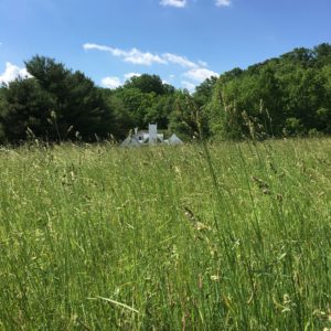 west-meadow-2